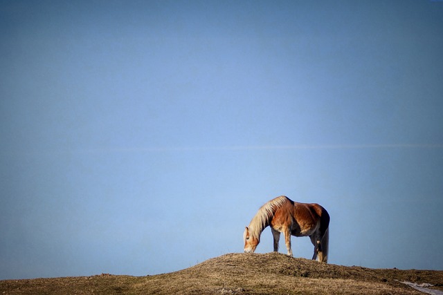 Ile czasu trwa wymiana sprzęgła w samochodzie? Ile czasu trwa wymiana sprzęgła w samochodzie?