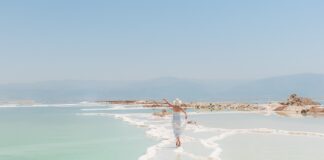 Ile soli na 40 kg kapusty do kiszenia?