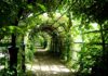 Czy Pergola to obiekt małej architektury? Czy Pergola to obiekt małej architektury?