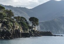 Ile kosztuje otwarcie toru gokartowego? Ile kosztuje otwarcie toru gokartowego?